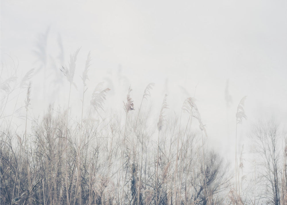 Wandbild Landschaft aus Schilf und Gras