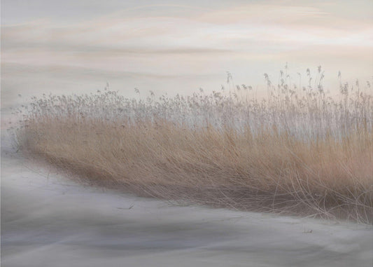 Wandkunst Winterrohr