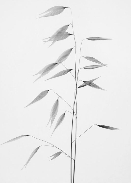 Wandbild Schärfe der Natur