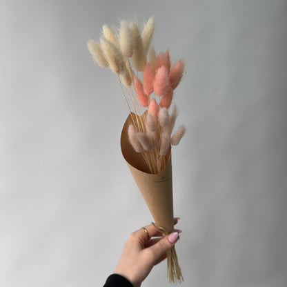 Trio de lagurus rosés