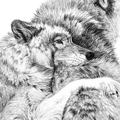 Wolf Cuddles - greeting card